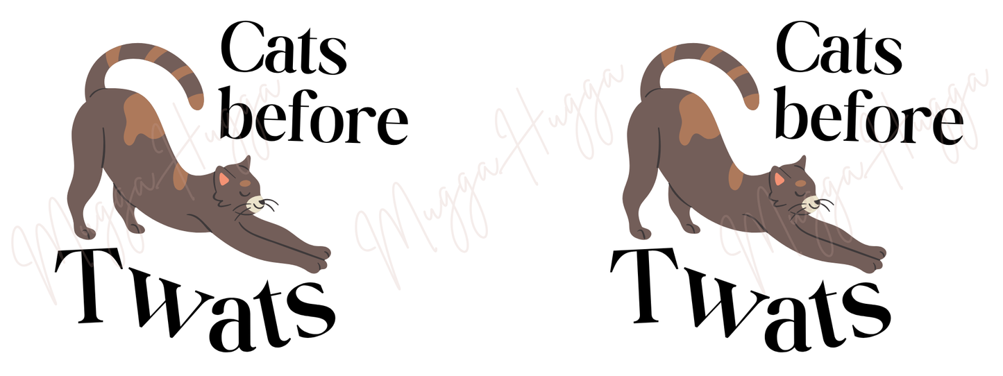 Funny Cat Mug – “Cats Before Twats” Rude Cat Lover Gift