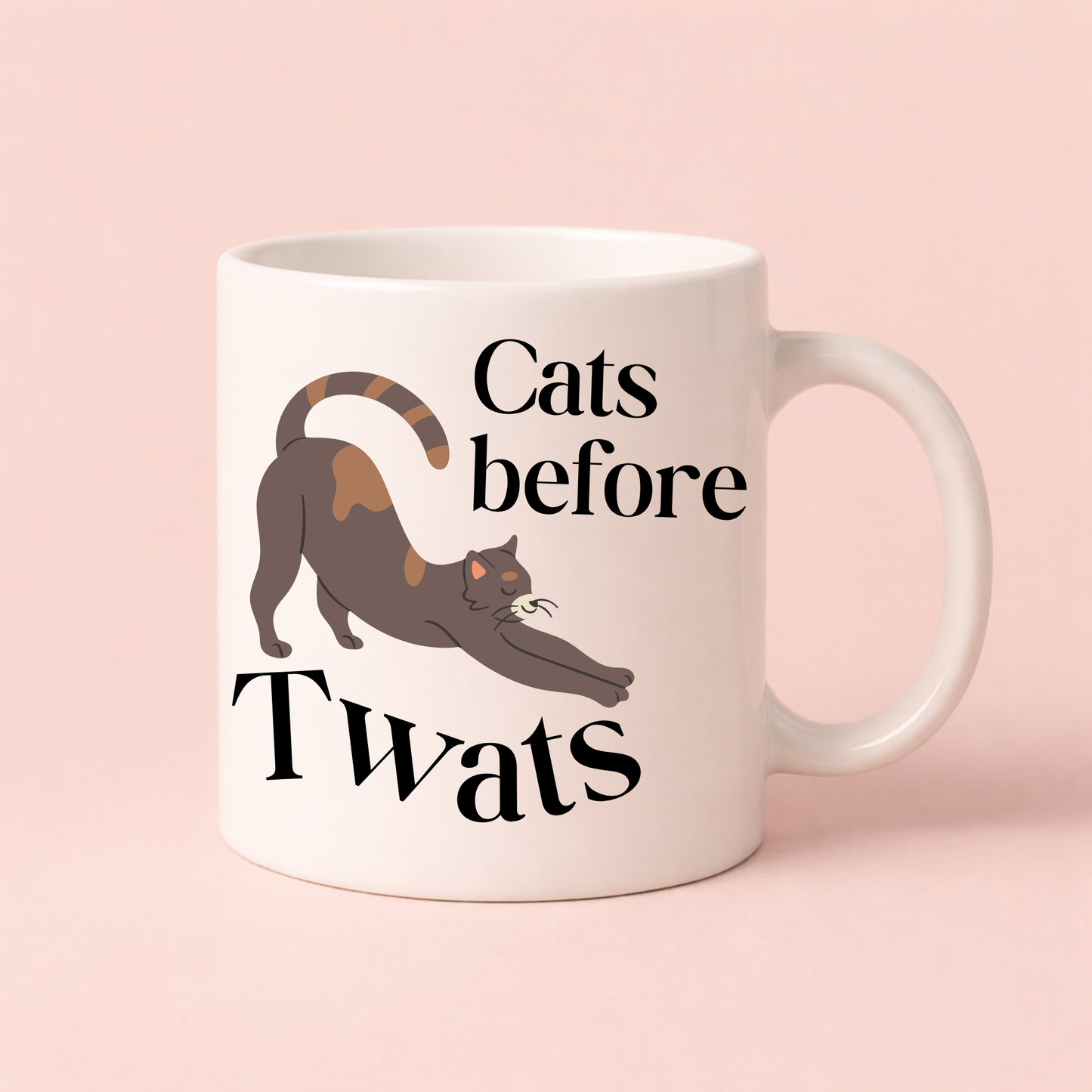 Funny Cat Mug – “Cats Before Twats” Rude Cat Lover Gift